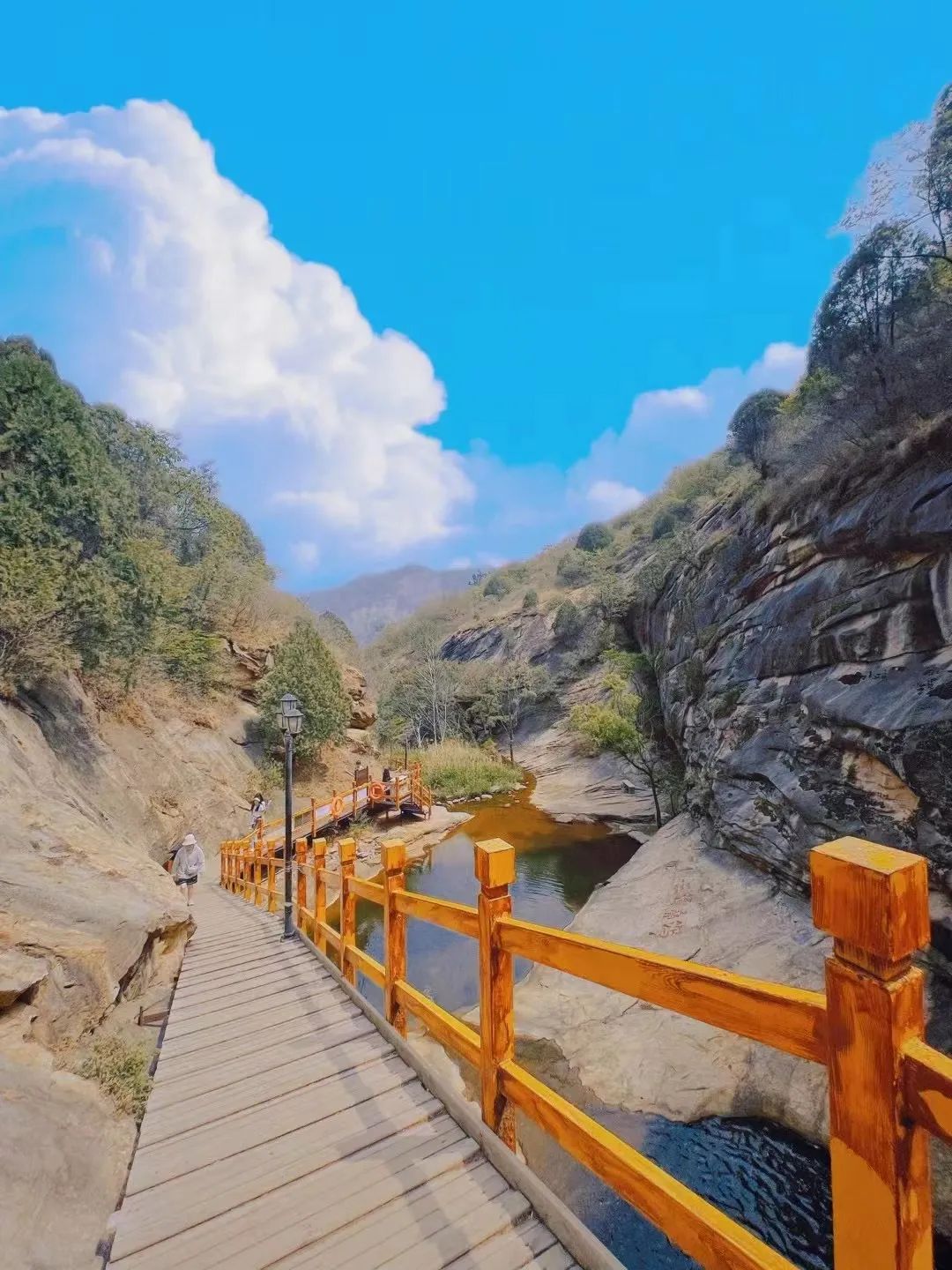 立足當(dāng)“夏”，覓清涼 