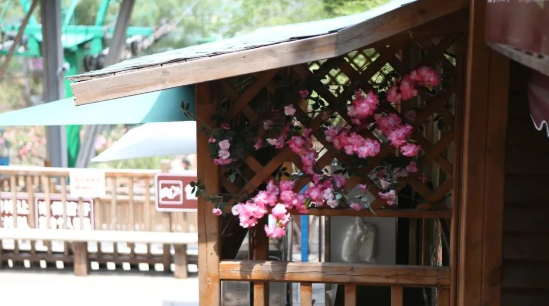 立足當(dāng)“夏”，覓清涼 