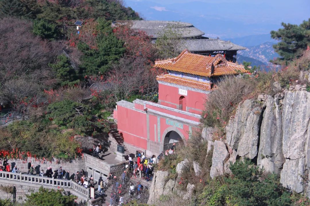 我們一起，頂峰相見 