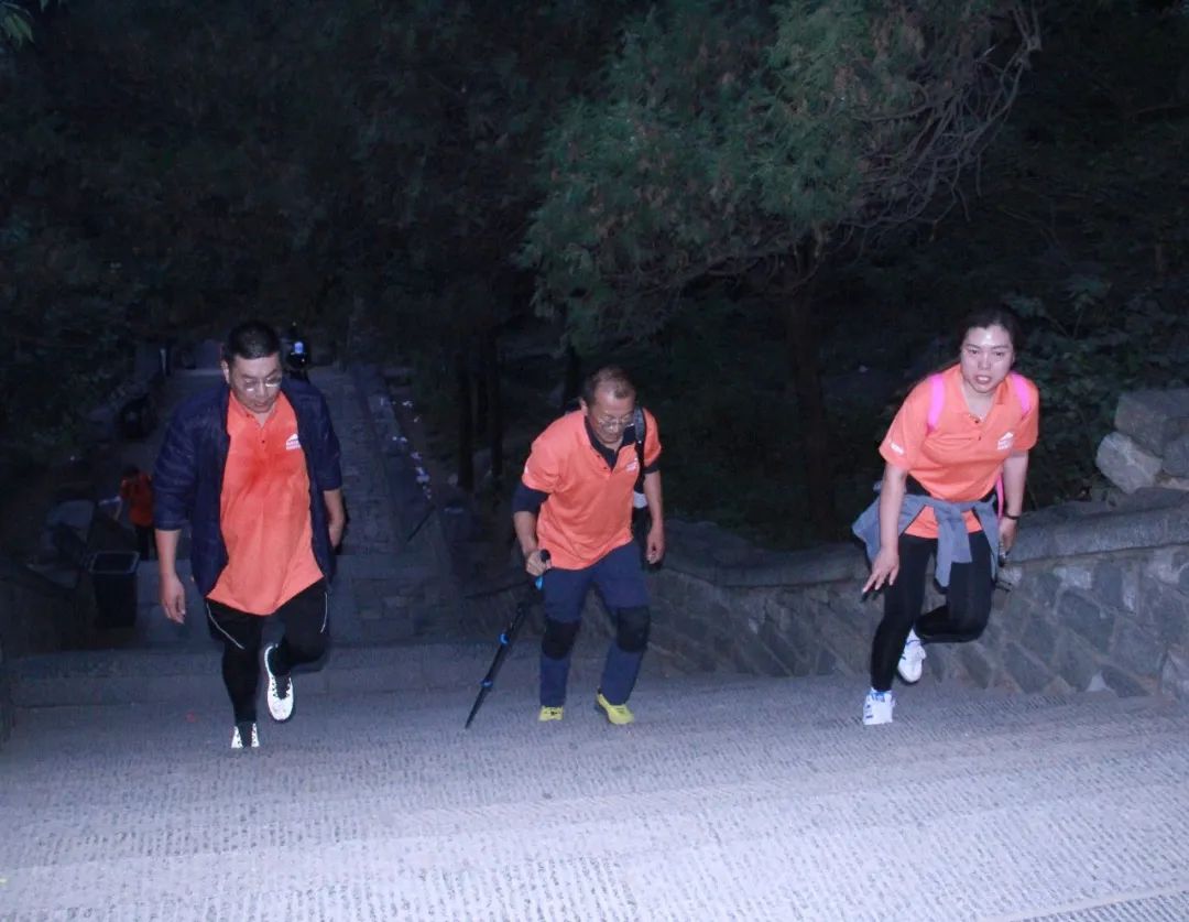 我們一起，頂峰相見 